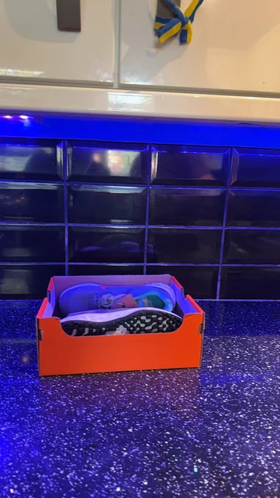 Nike Running Shoes