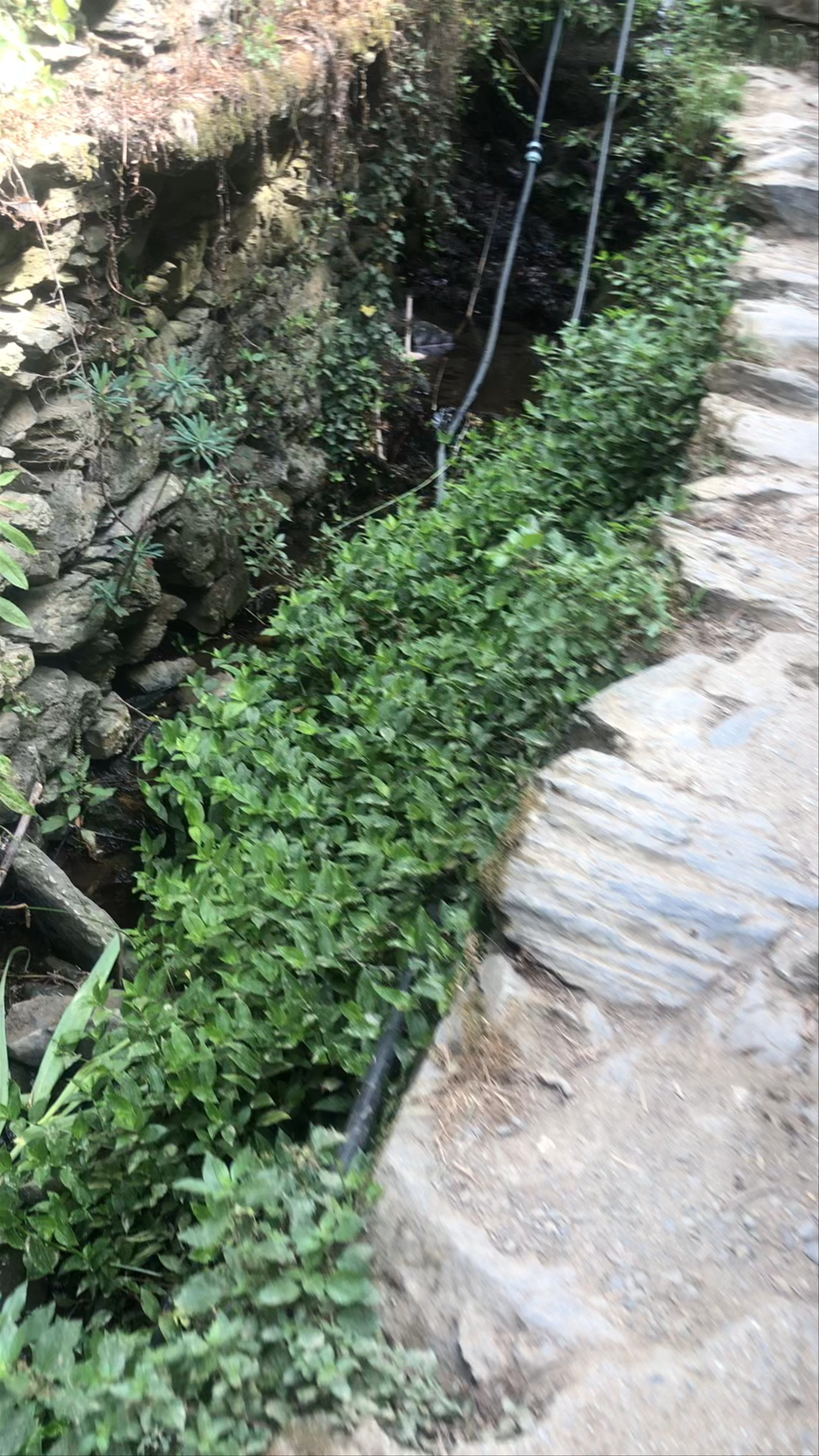 Strada Vicinale Rocca, Monterosso al Mare