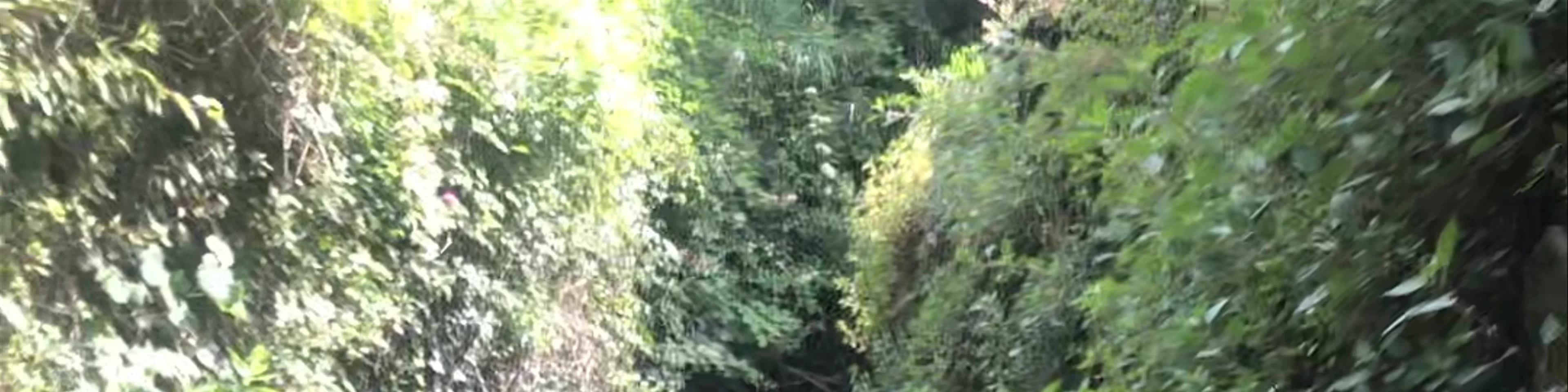Strada Vicinale Rocca, Monterosso al Mare