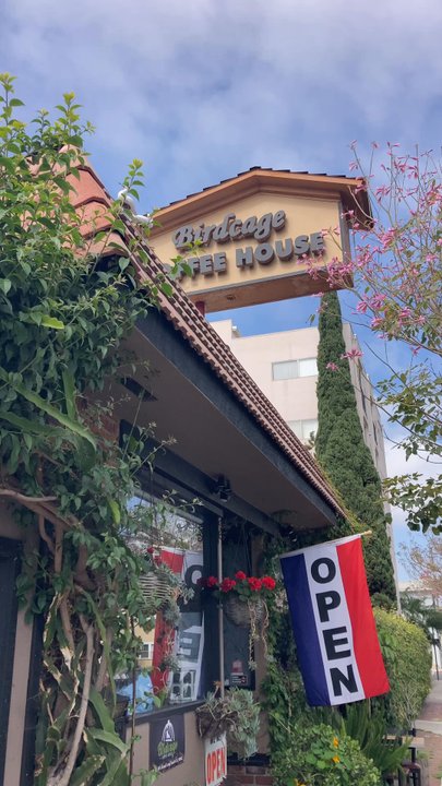 Birdcage Coffee House - Patio + Parrots  at Birdcage Coffeehouse in Long Beach - Coffee & Tea Near Me - Long Beach, California