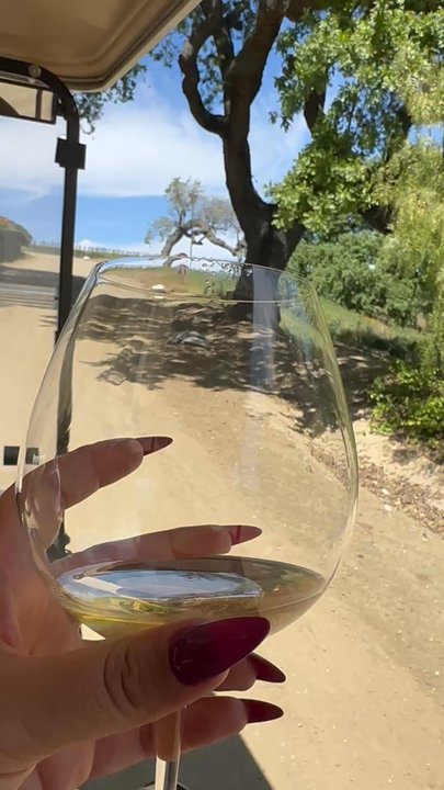 Pence Vineyards & Winery - Wineries Near Me - Buellton, California