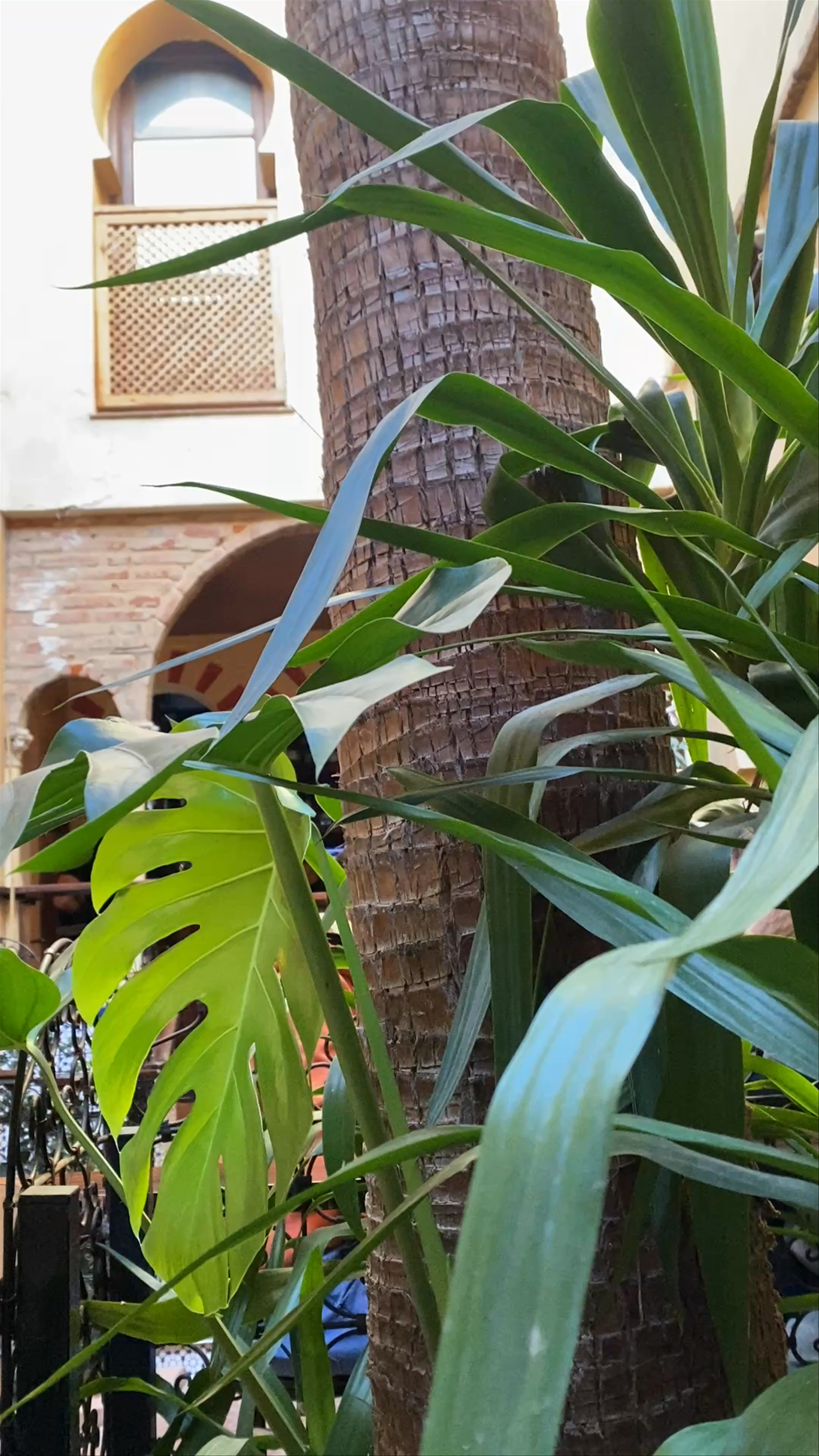 Cozy Courtyard Vibes at Pub Rincón Nazarí, Badajoz