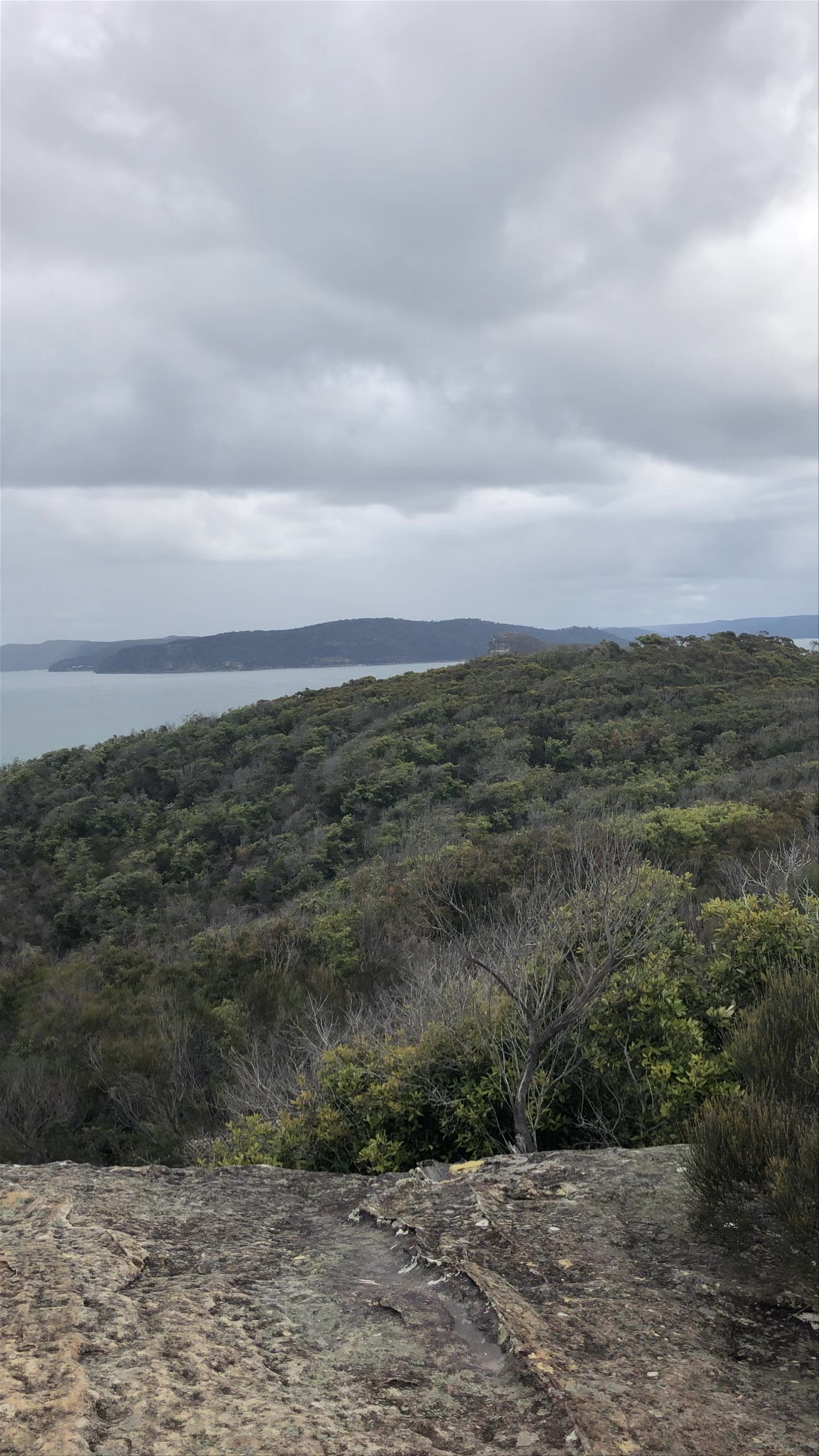 Box Head Lookout: Breathtaking Coastal Views in New South Wales
