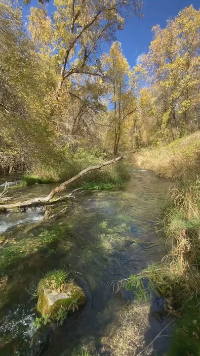 Rifle Falls State Park - Parks Near Me - Rifle, Colorado