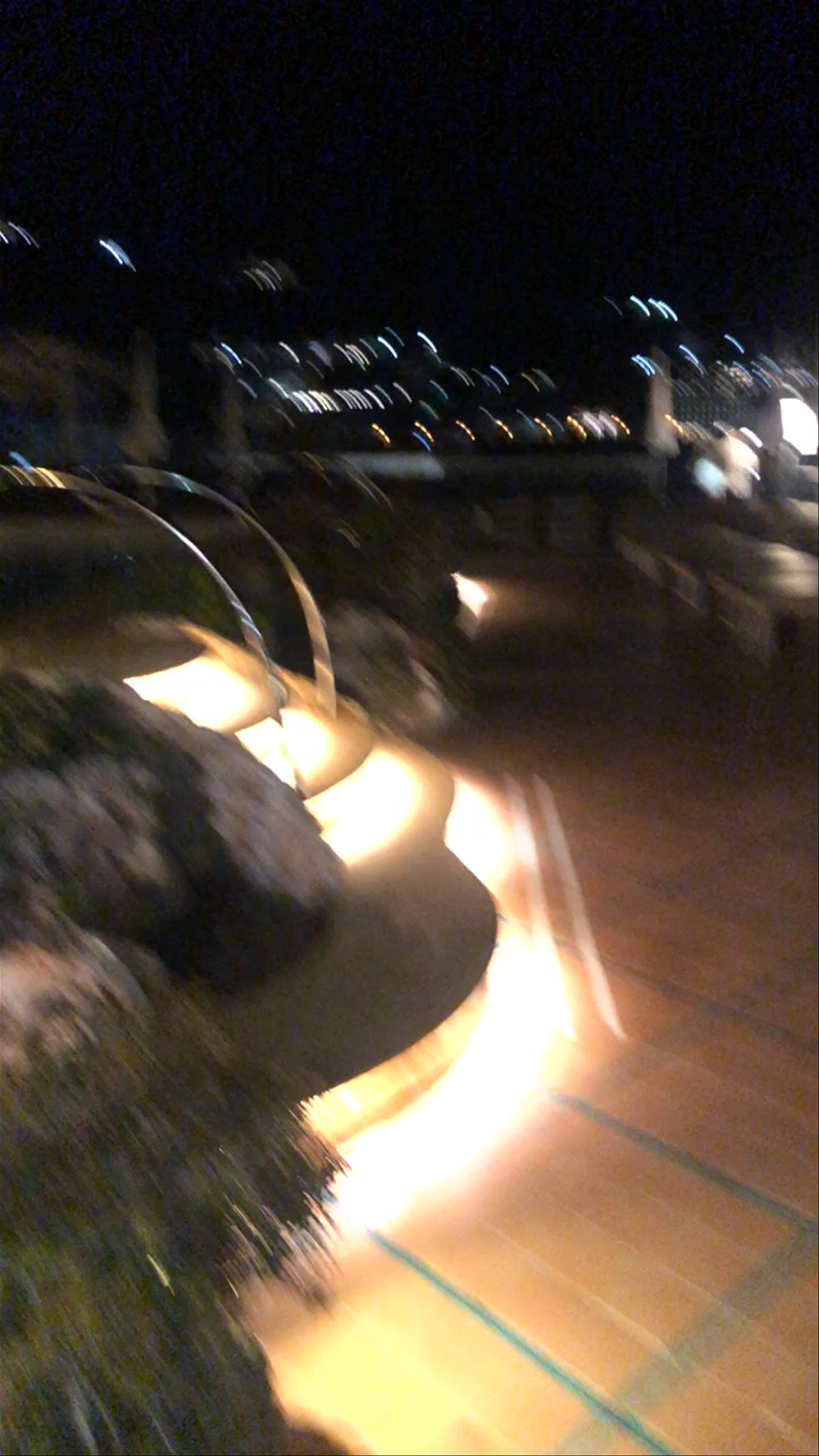 Grand Hotel la Favorita