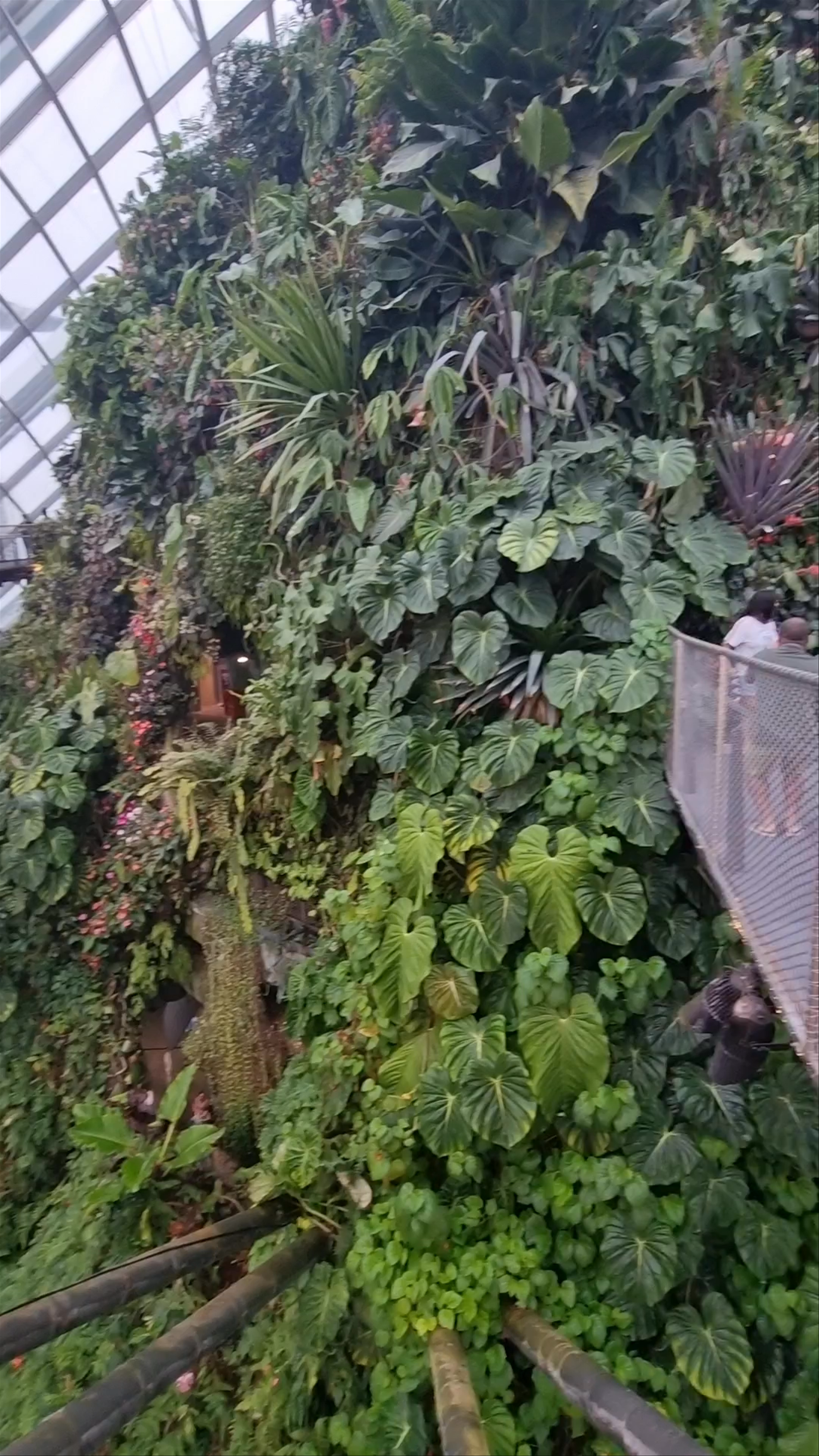 Marina Gardens Drive