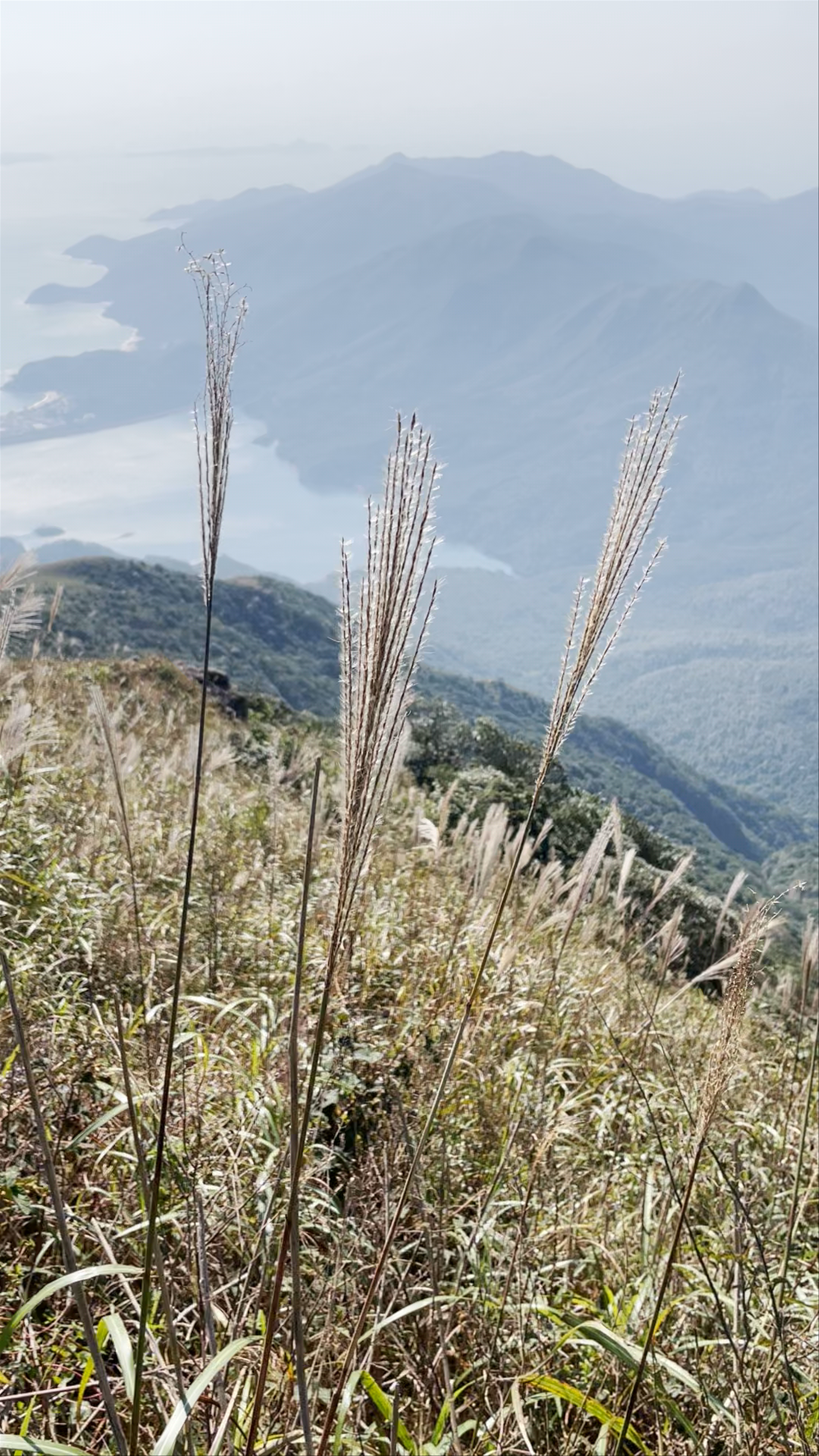 Lantau Peak