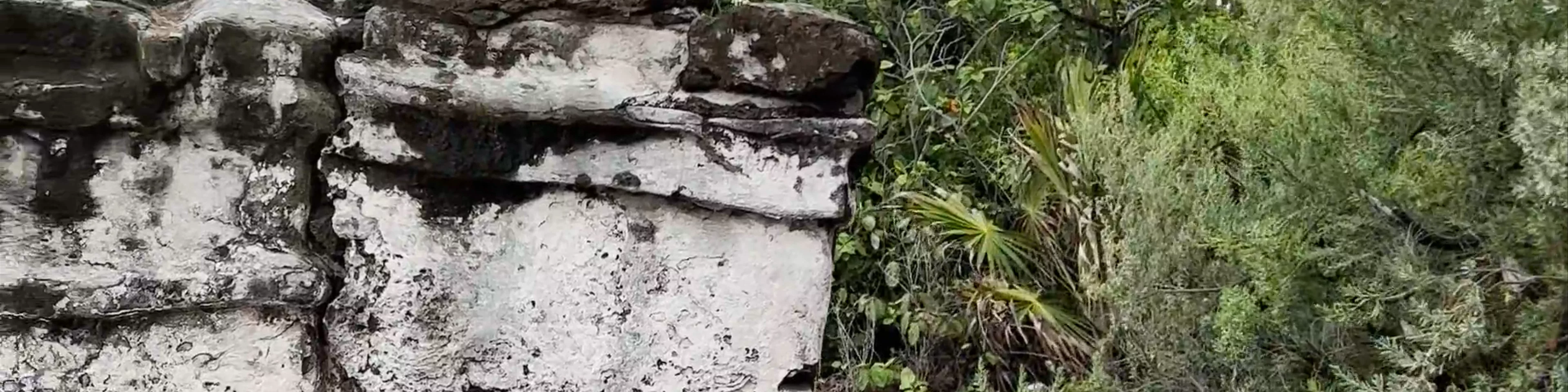 Zona Arqueológica El Caracol