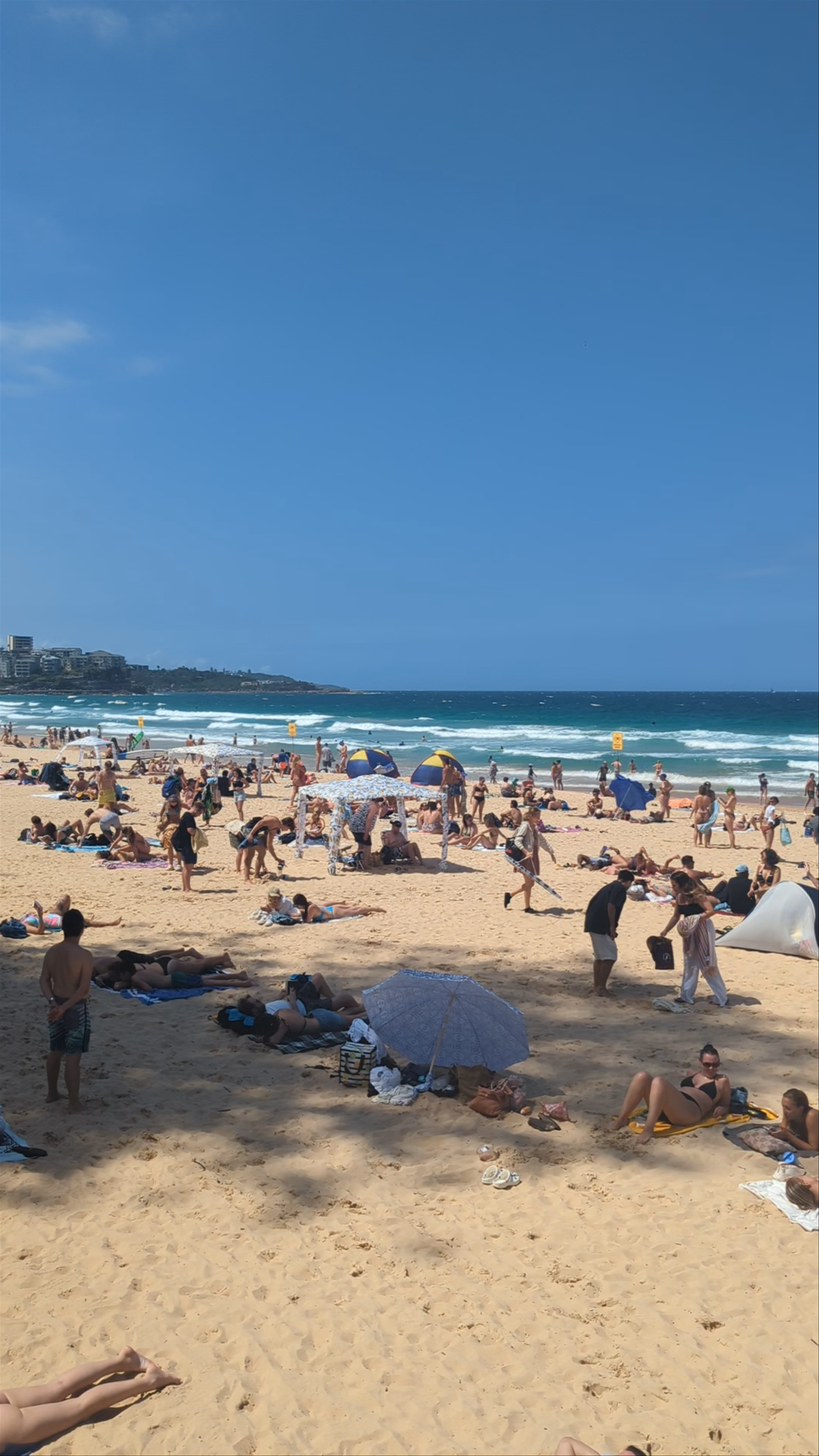 Manly Beach