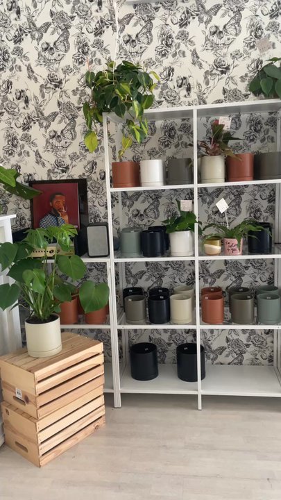 The Botanical Bar - Nurseries & Gardening Near Me - Indianapolis, Indiana