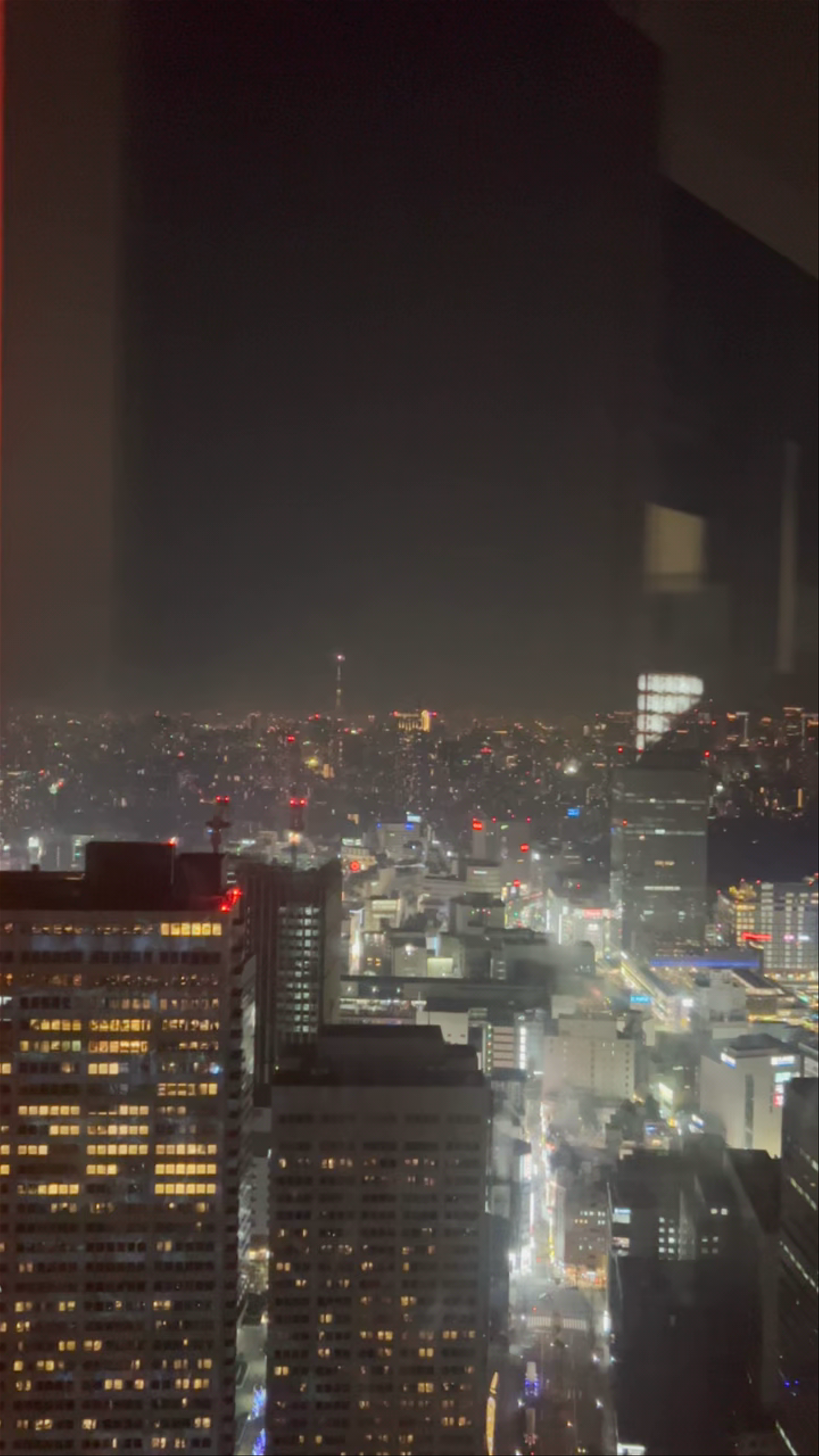 Tokyo Metropolitan Government Building No.1