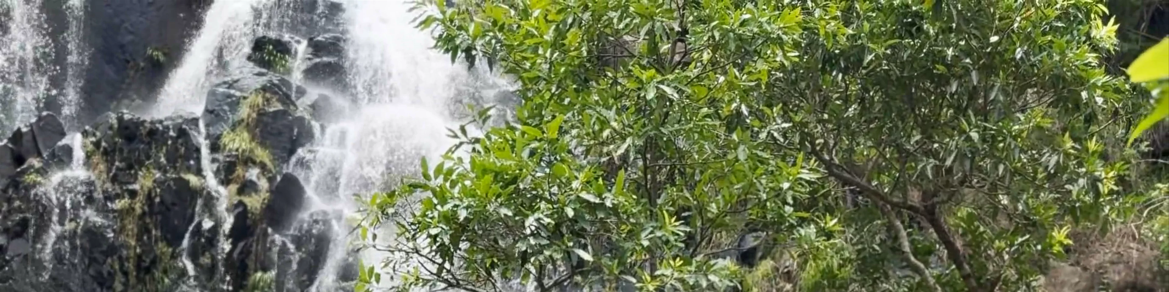 Pearl Waterfalls