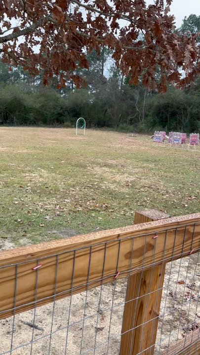 Kiesel Park - Just the videos of the dog park - Dog Parks Near Me - Auburn, Alabama