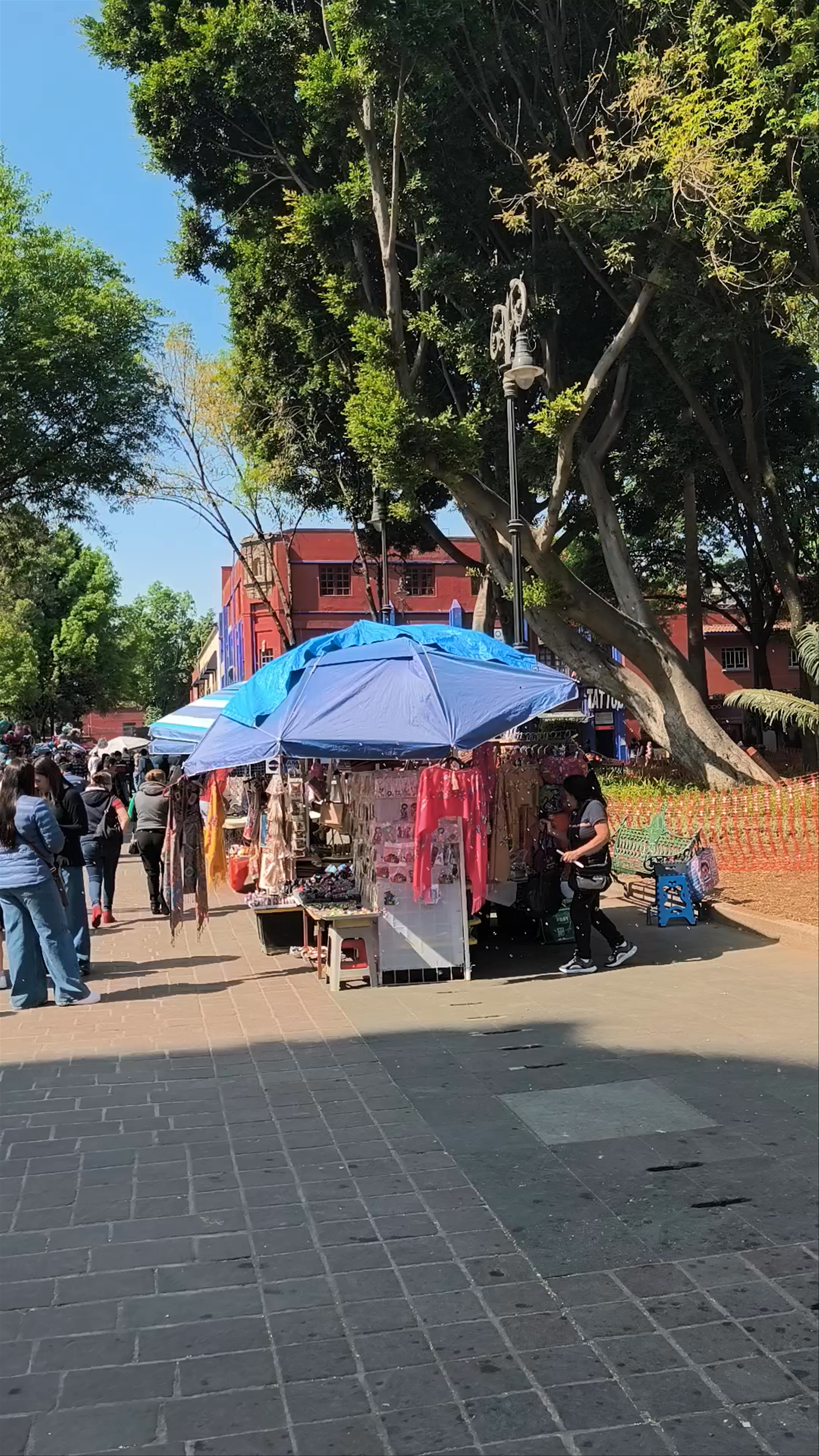 Plaza Coyoacán