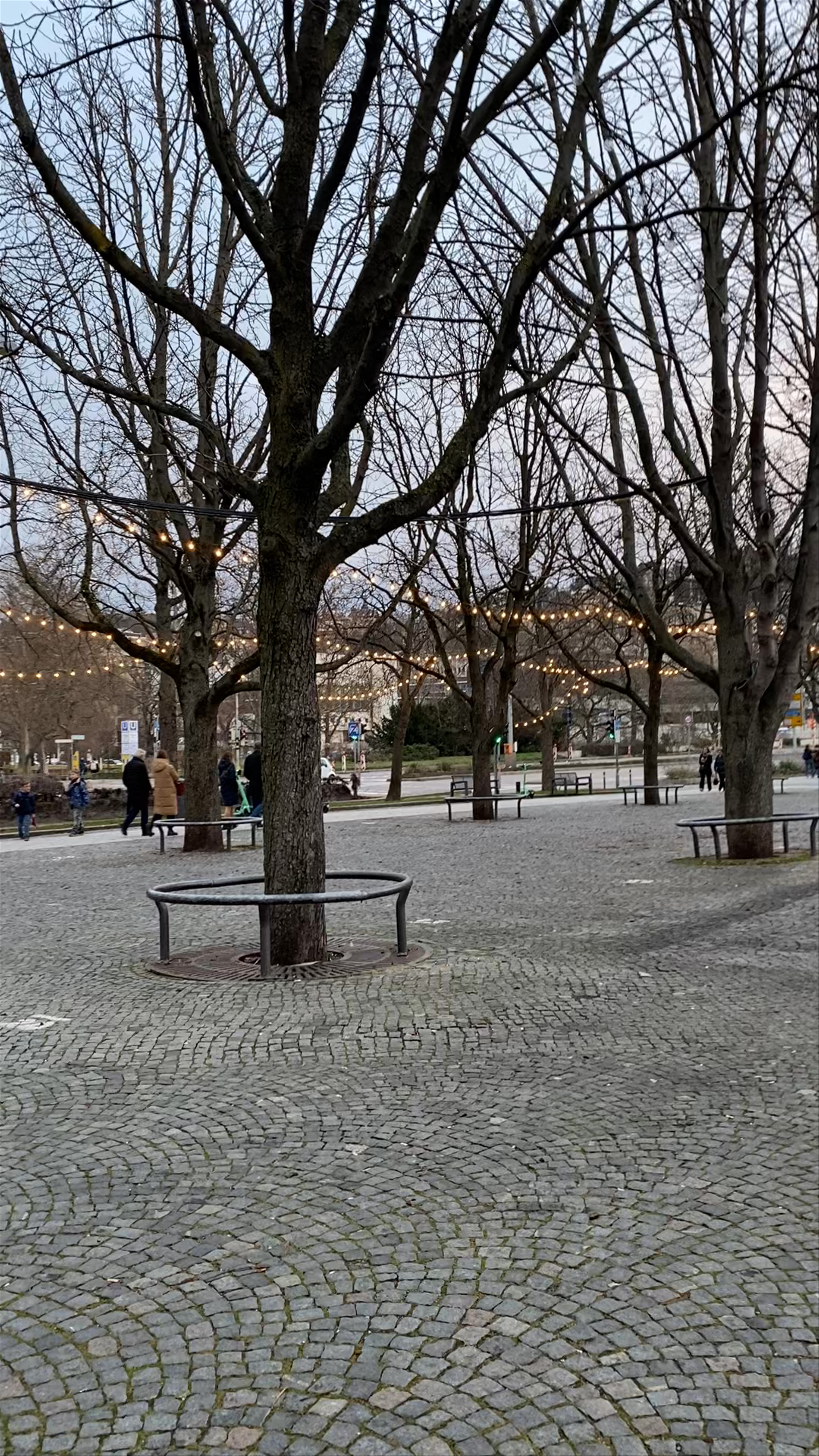 Karlsplatz, Stuttgart: Evening Glow in the Winter City Square
