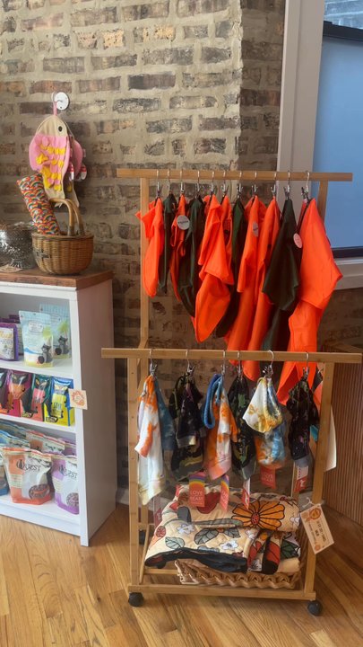 Squeaky Bea’s - Store tour - Pet Stores Near Me - Chicago, Illinois