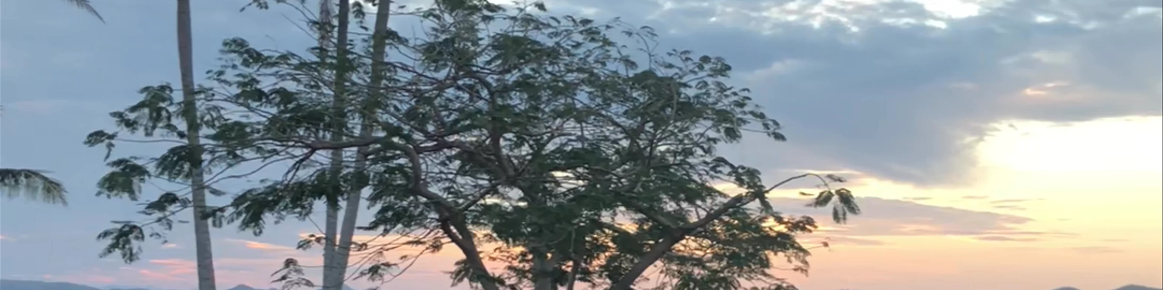 One Tree Hill at Sunset