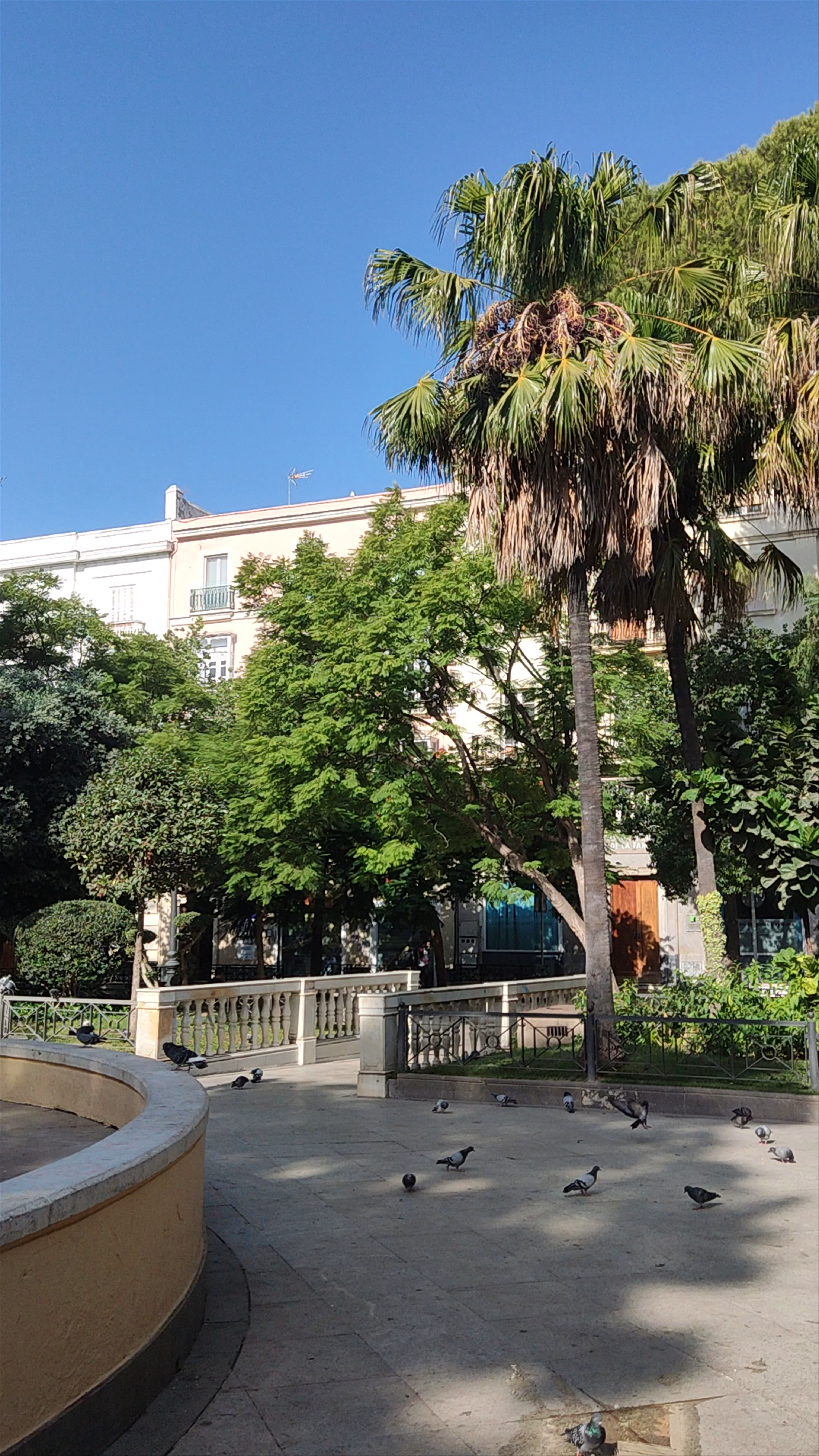 PLAZA DE MINA
