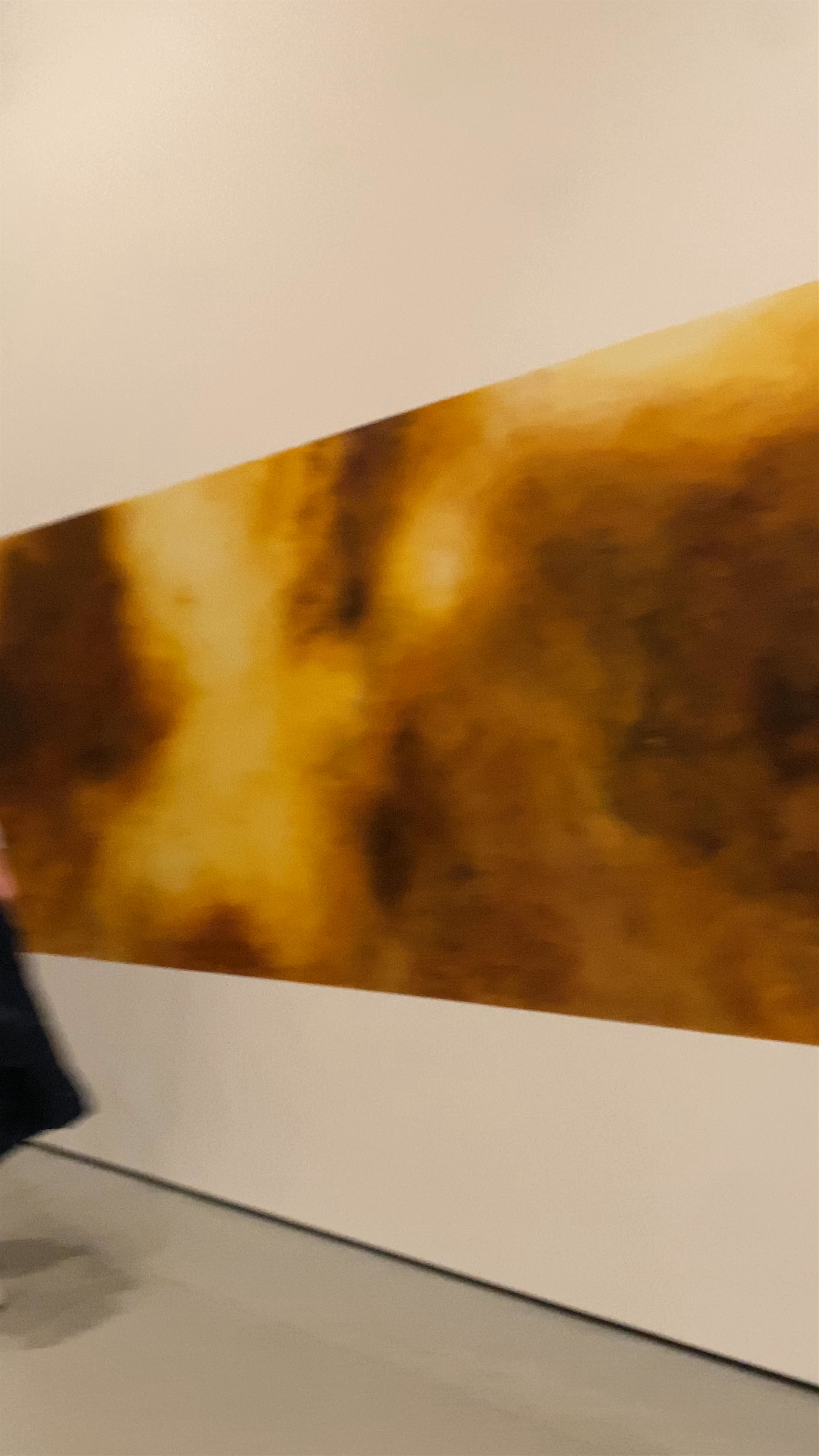 MoMA