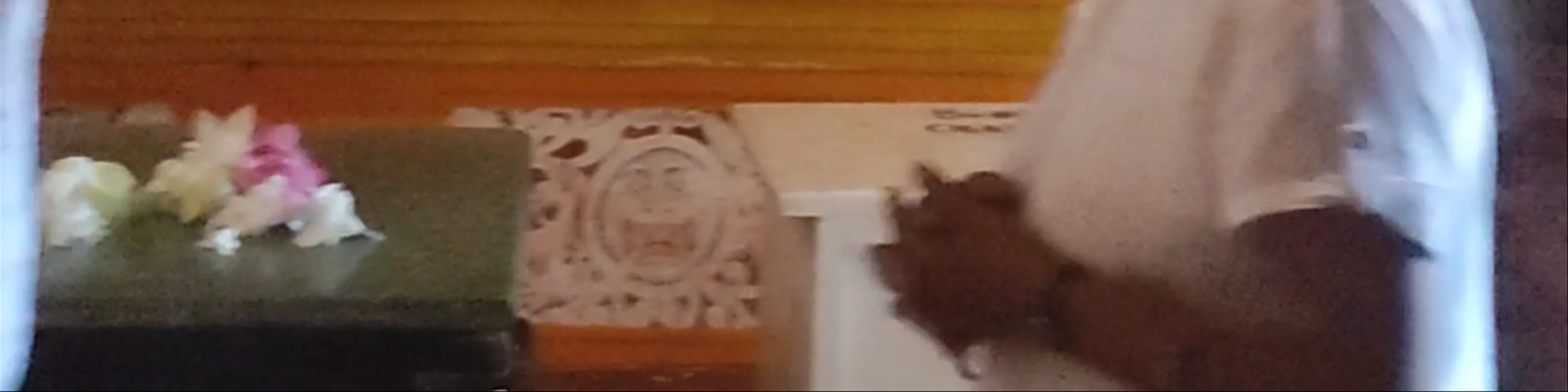 Isurumuniya Rajamaha Viharaya