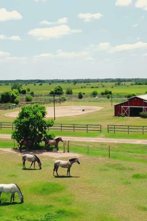Freeman Ranch & Stables - Drone footage of the property - Horse Boarding Near Me - Katy, Texas