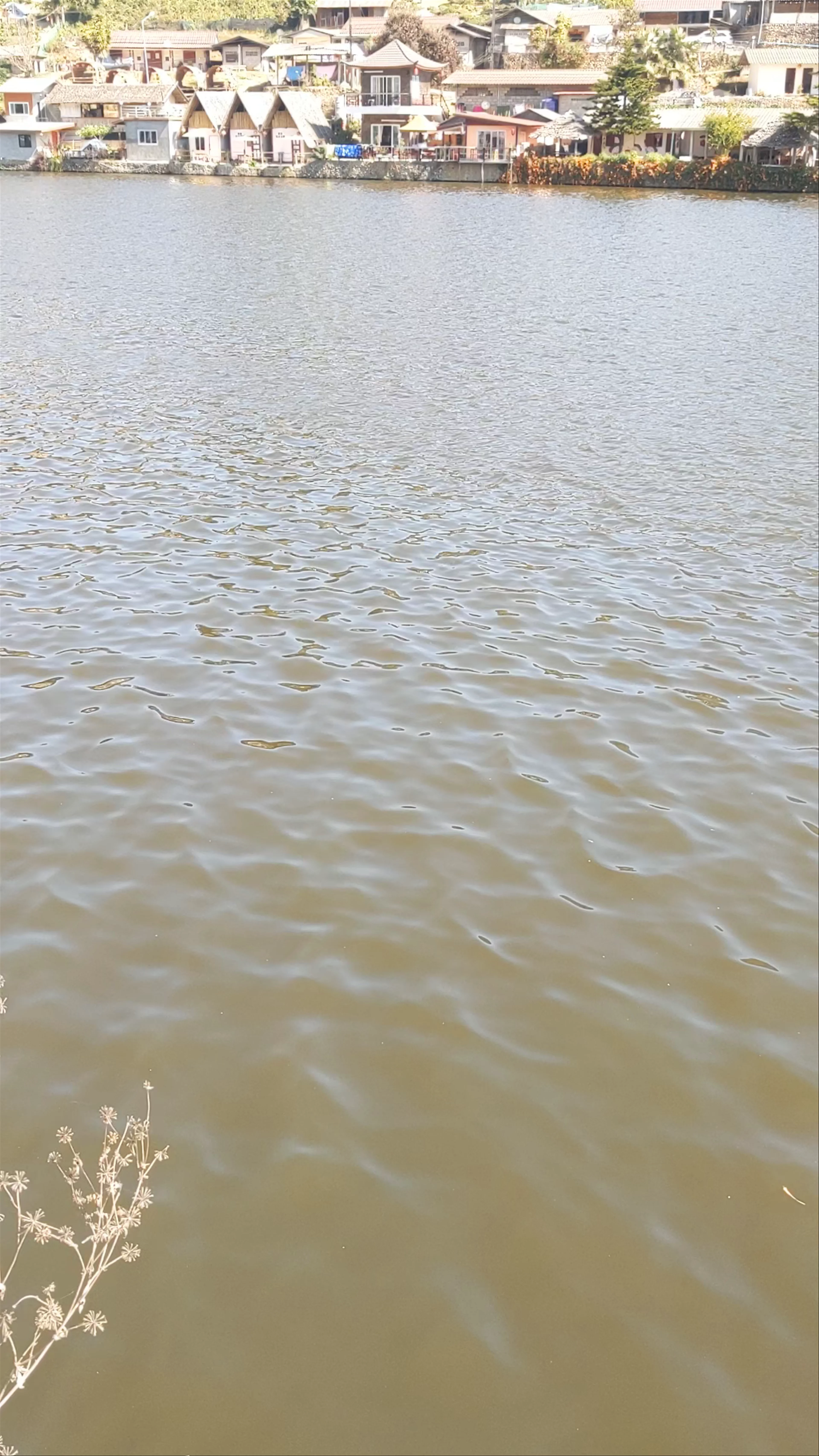Ban Rak Thai, Mok Cham Pae, Mueang Mae Hong Son District