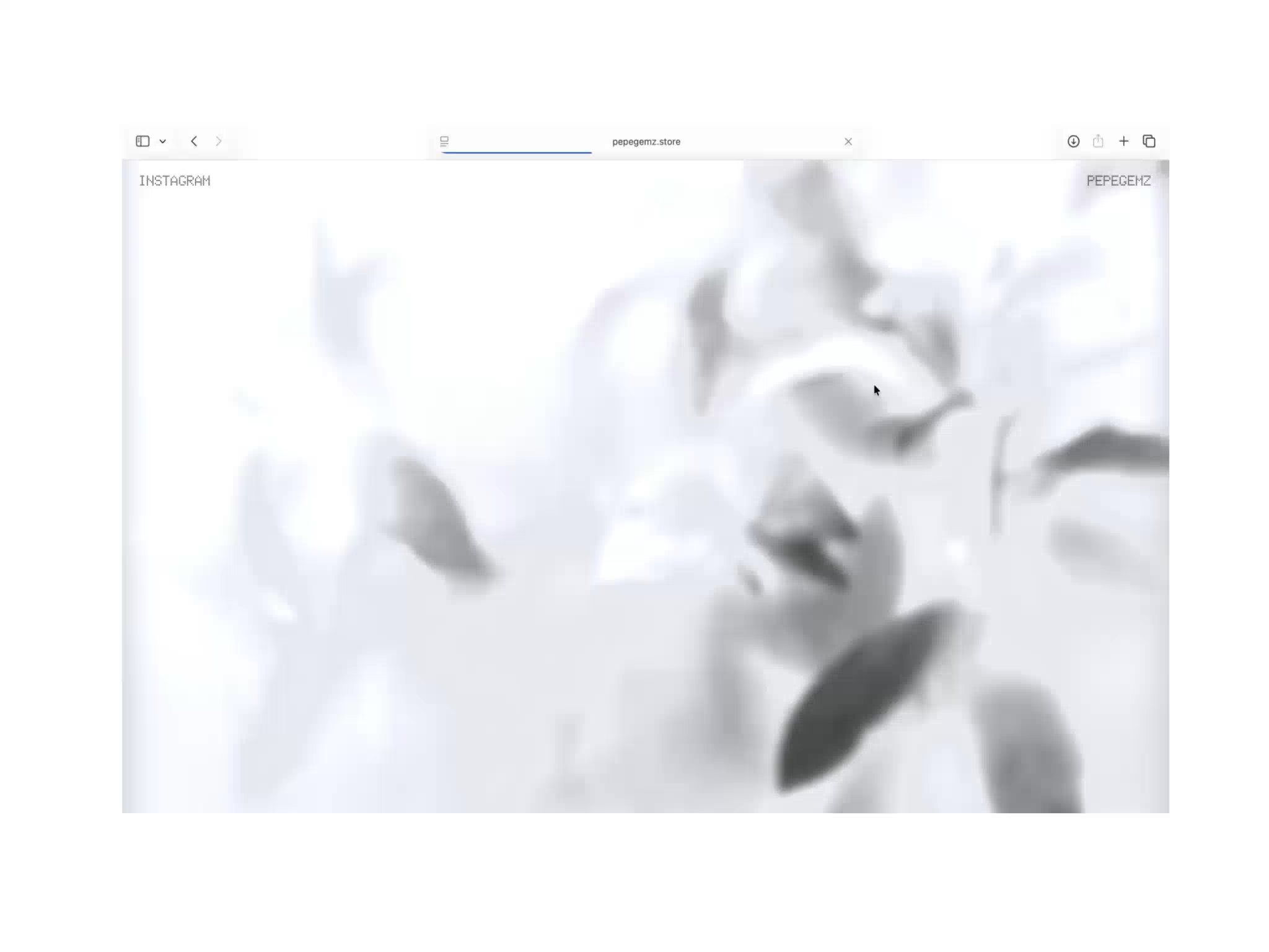 pepegemz.store