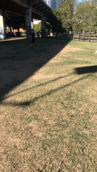 Barry Annino Bark Park - Nice dog park in the city - Dog Parks Near Me - Dallas, Texas