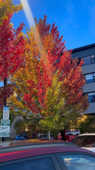 Hotel Indigo Seattle Everett Waterfront - Hotels Near Me - Everett, Washington