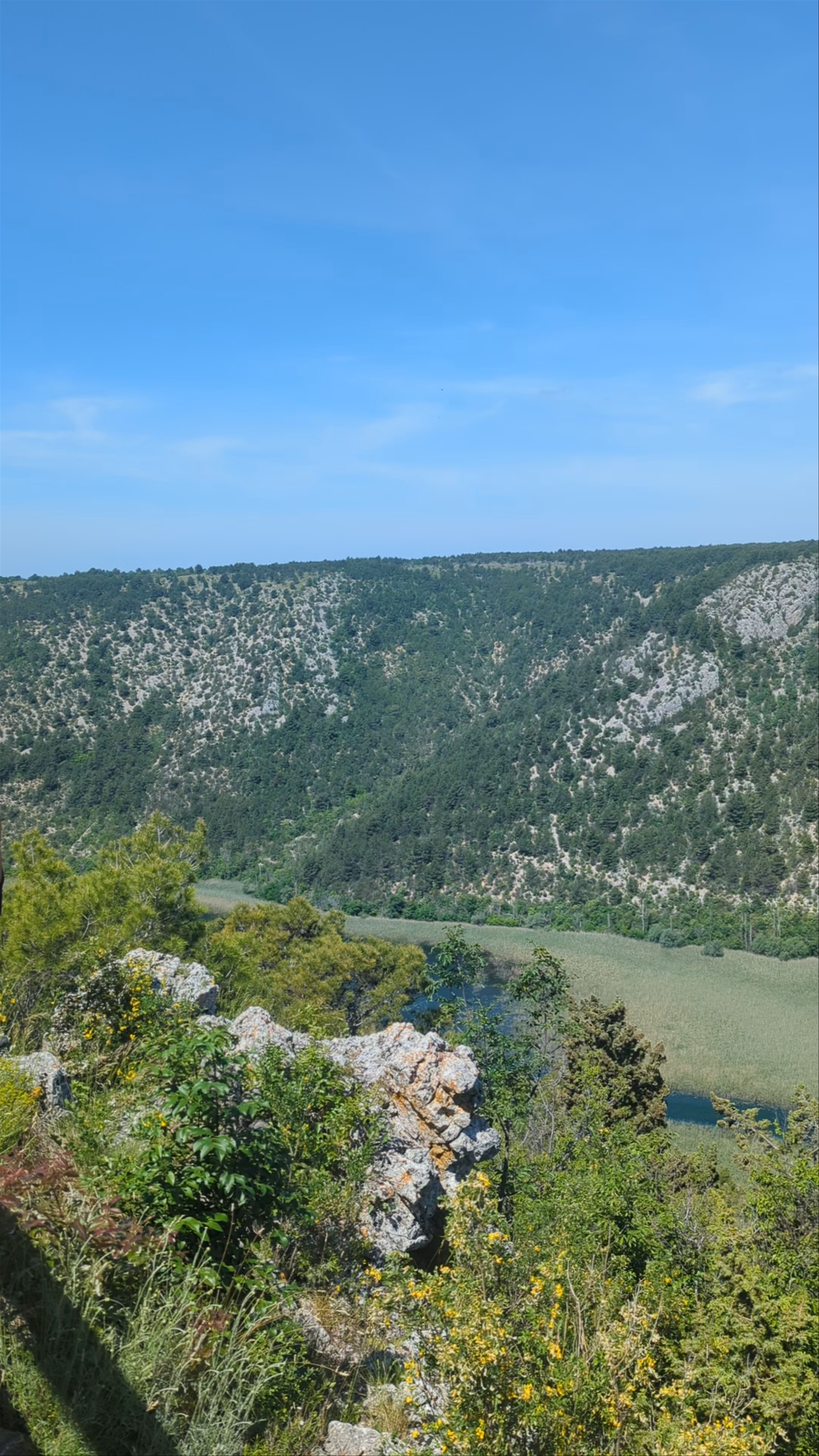 Tributary Cikola into Krka