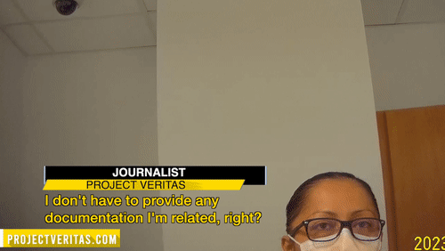 Video Thumbnail Loop