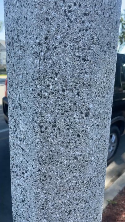 Venomous Detailing - Auto Detailing Near Me
