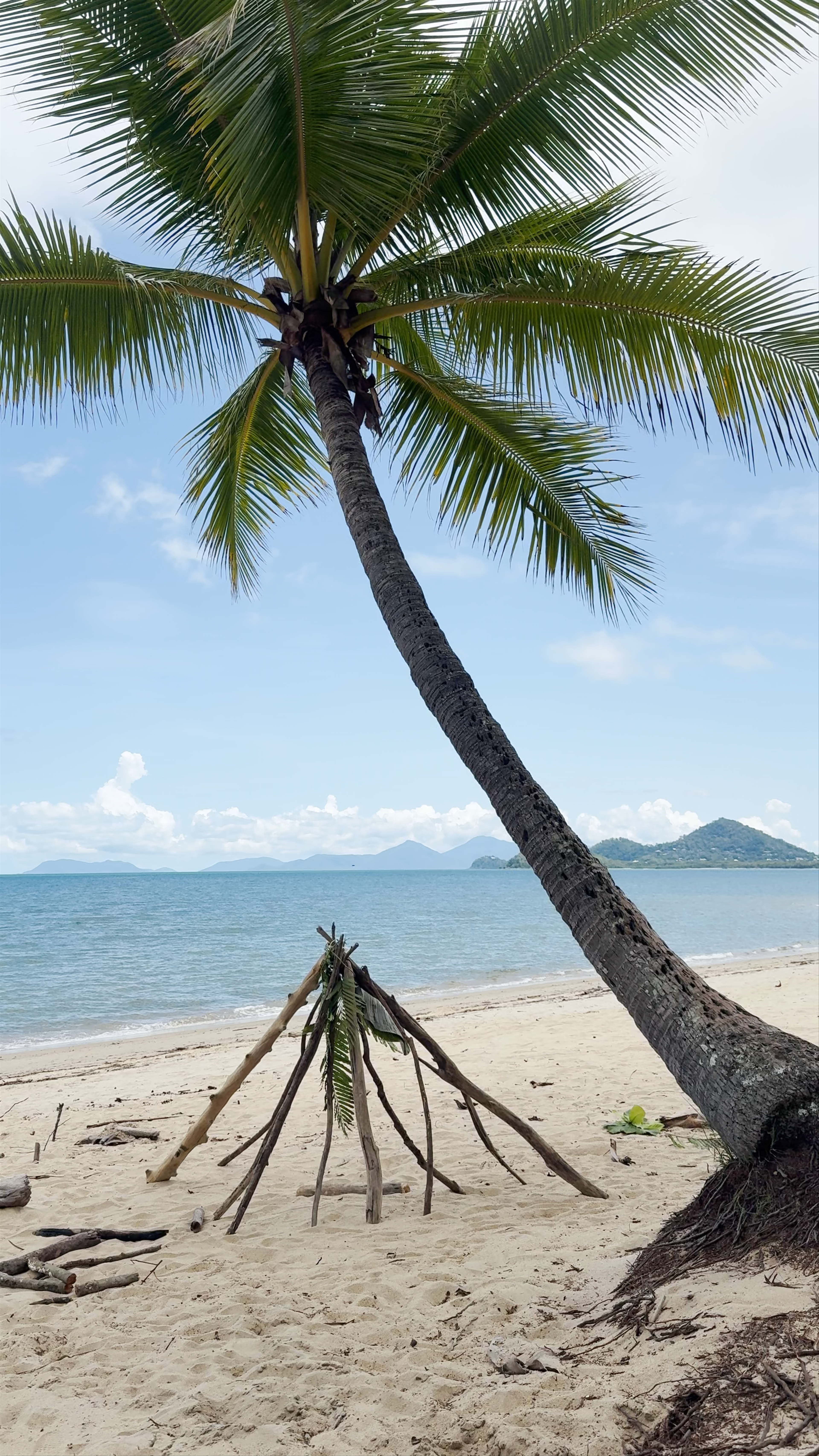 Palm Cove Beach