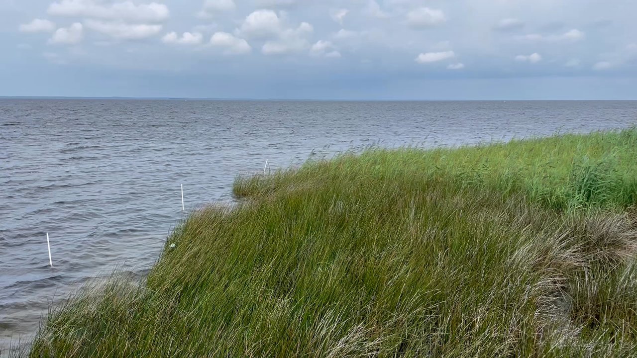 The Blue Point - Pano video of back bar (before opening) - a beautiful area on the sound to kick back, sip cocktails, eat appetizers and watch the sun set - New American Near Me - Duck, North Carolina