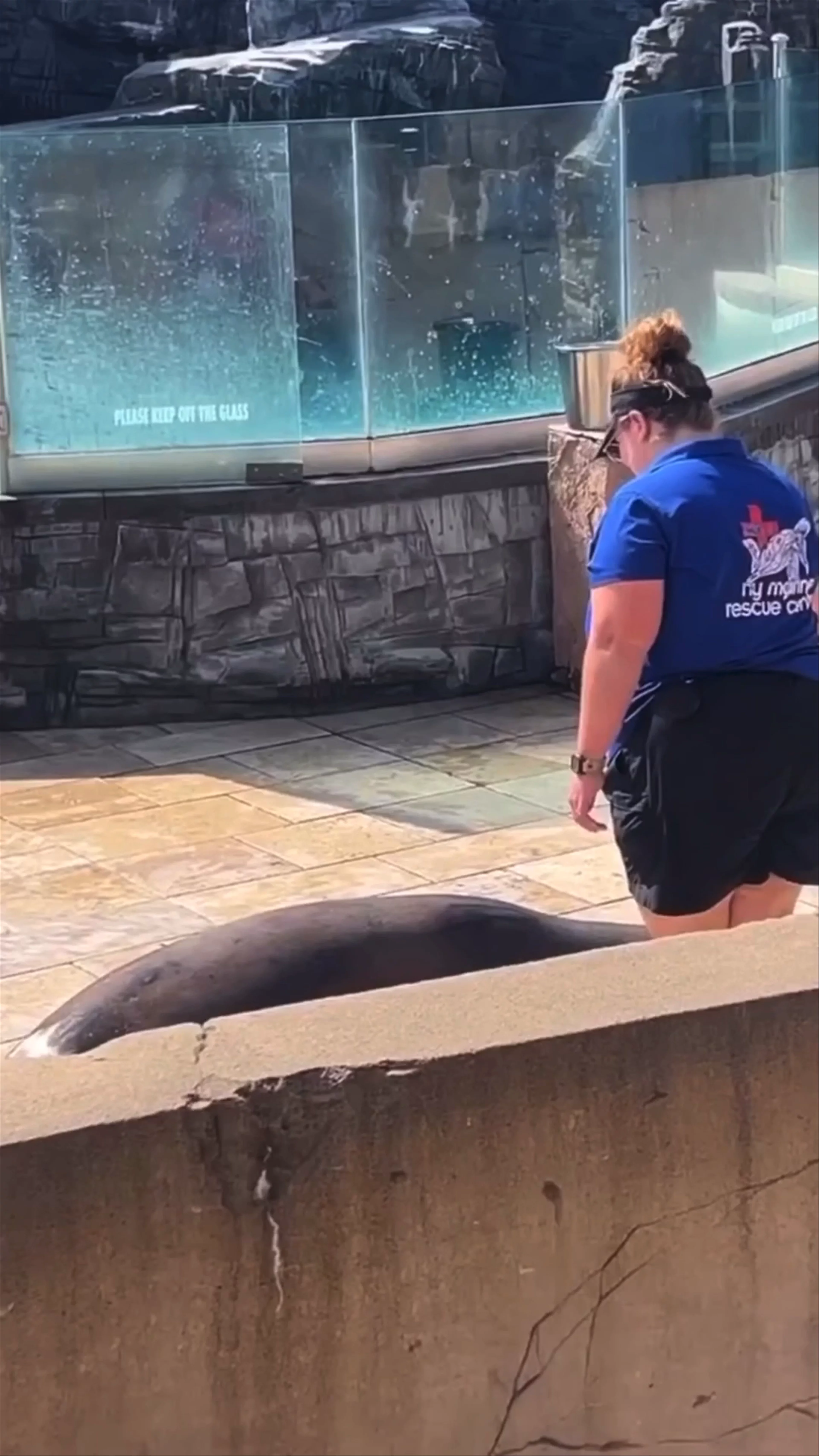 New York Aquarium