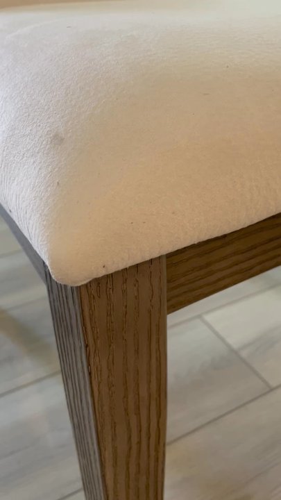 Ashley Store - Insect crawling on the furniture - Furniture Stores Near Me - Murrieta, California