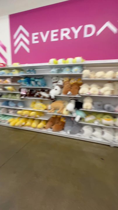 Daiso - Shelf - Discount Store Near Me - Rancho Cucamonga, California