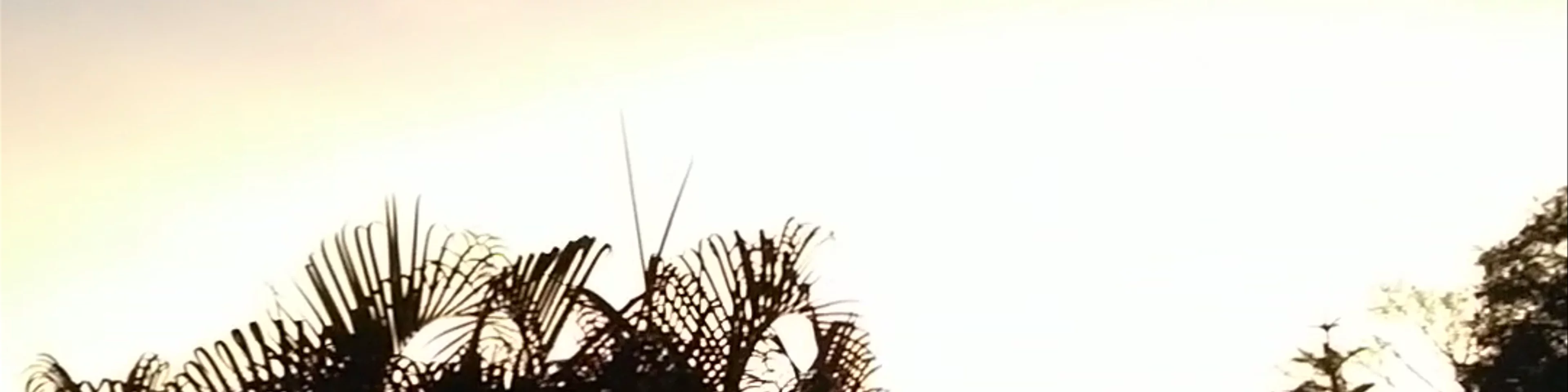 Mi Pueblito