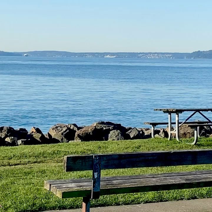 Myrtle Edwards Park - Such a gorgeous view - Parks Near Me - Seattle, Washington