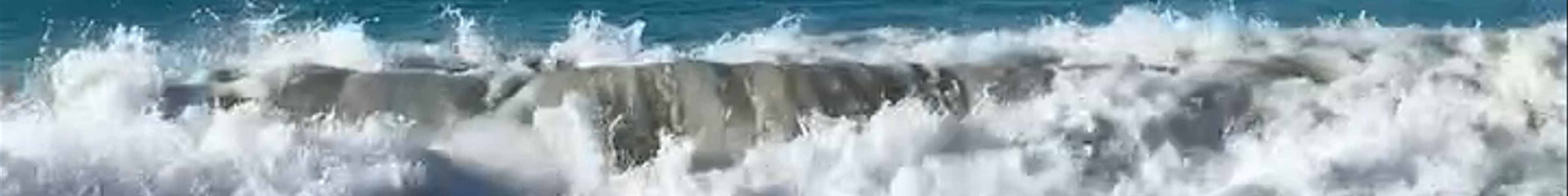 Tours & experiences in Virgin Islands, U.S.