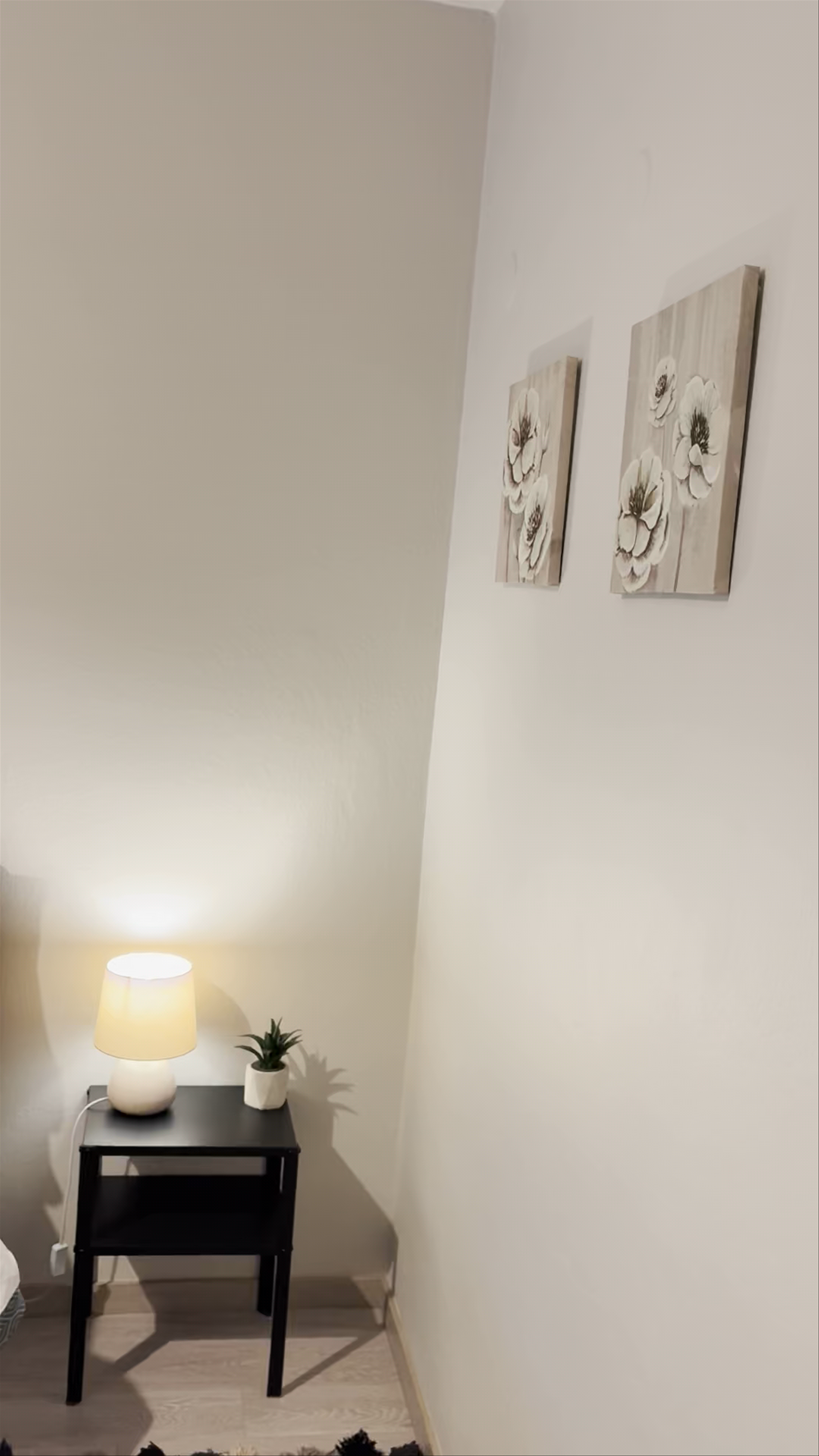 Alyvia central apartments Ioannina