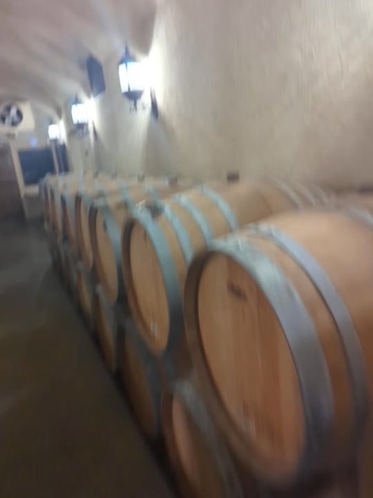 Shelton Vineyards - Wineries Near Me - Dobson, North Carolina