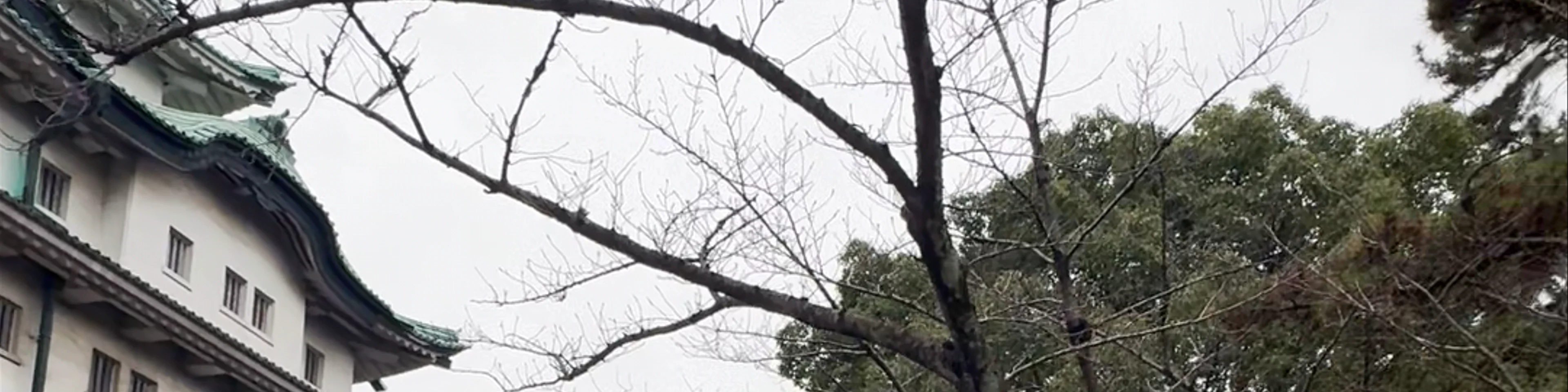 Nagoya Castle