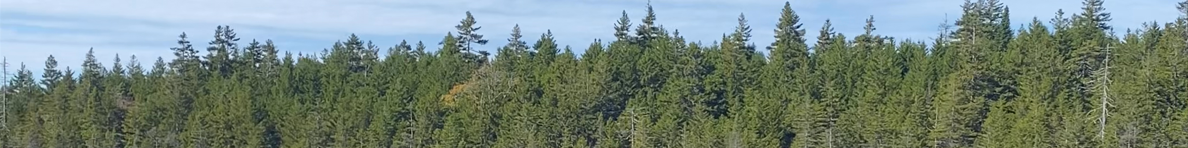 Tours & experiences in New Brunswick