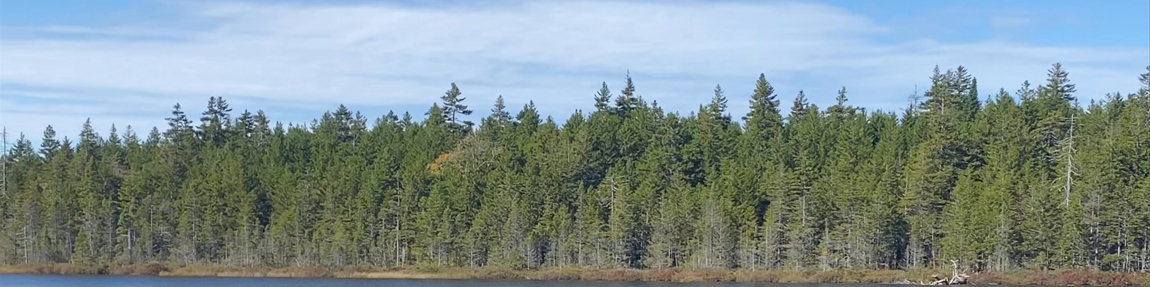 New Brunswick