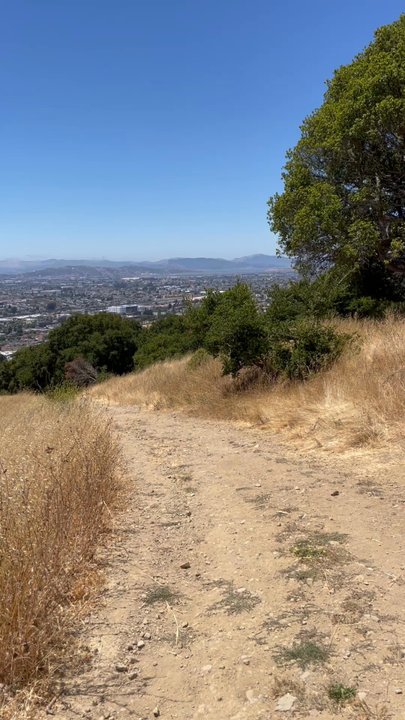 Hillside Natural Area - Parks Near Me - El Cerrito, California