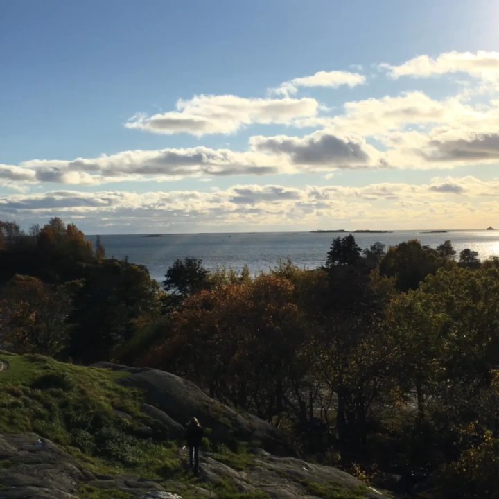 Kaivopuisto - Fall in Helsinki. October 2017 - Parks Near Me - Helsinki, 18