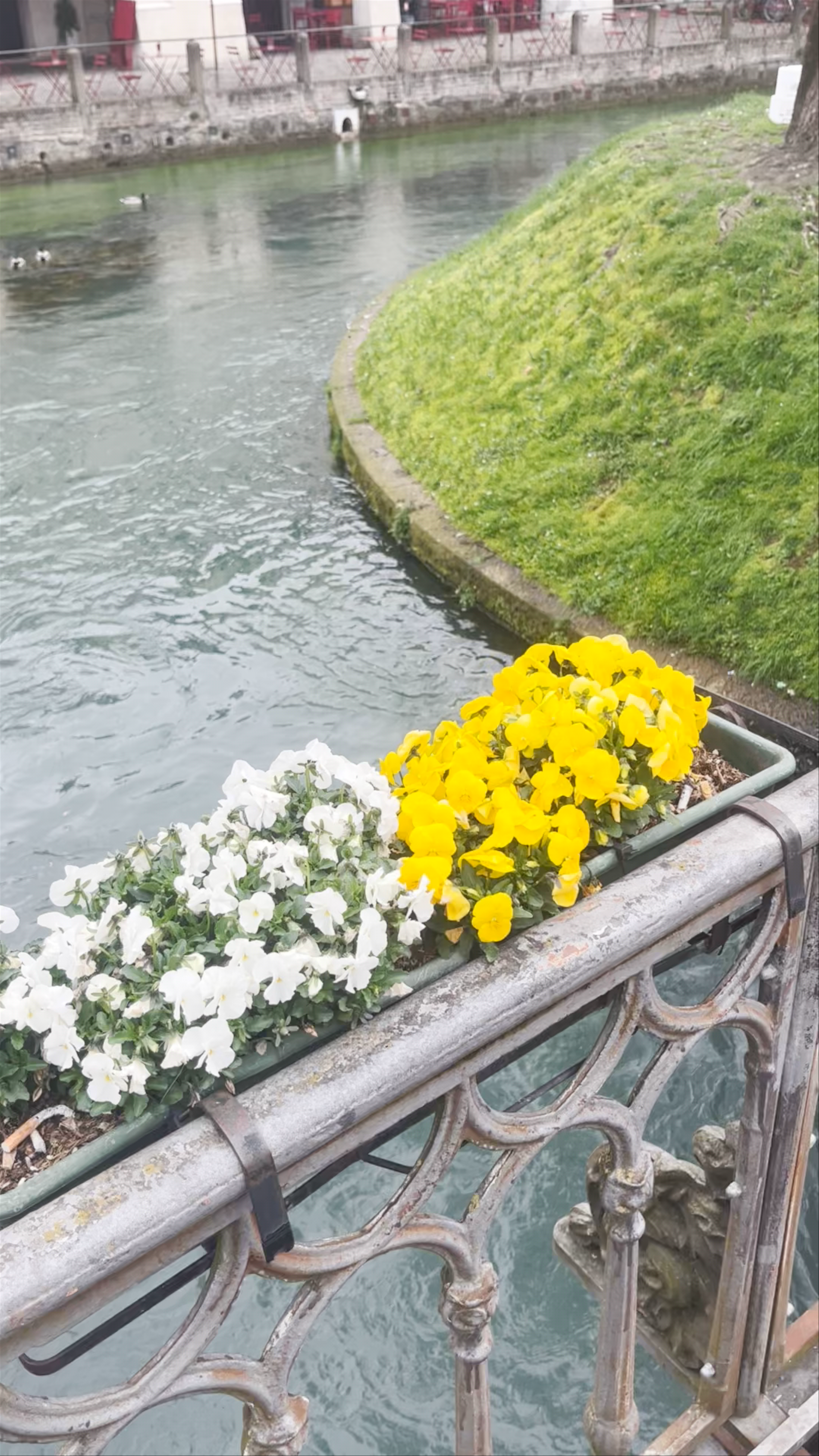 Isola della Pescheria