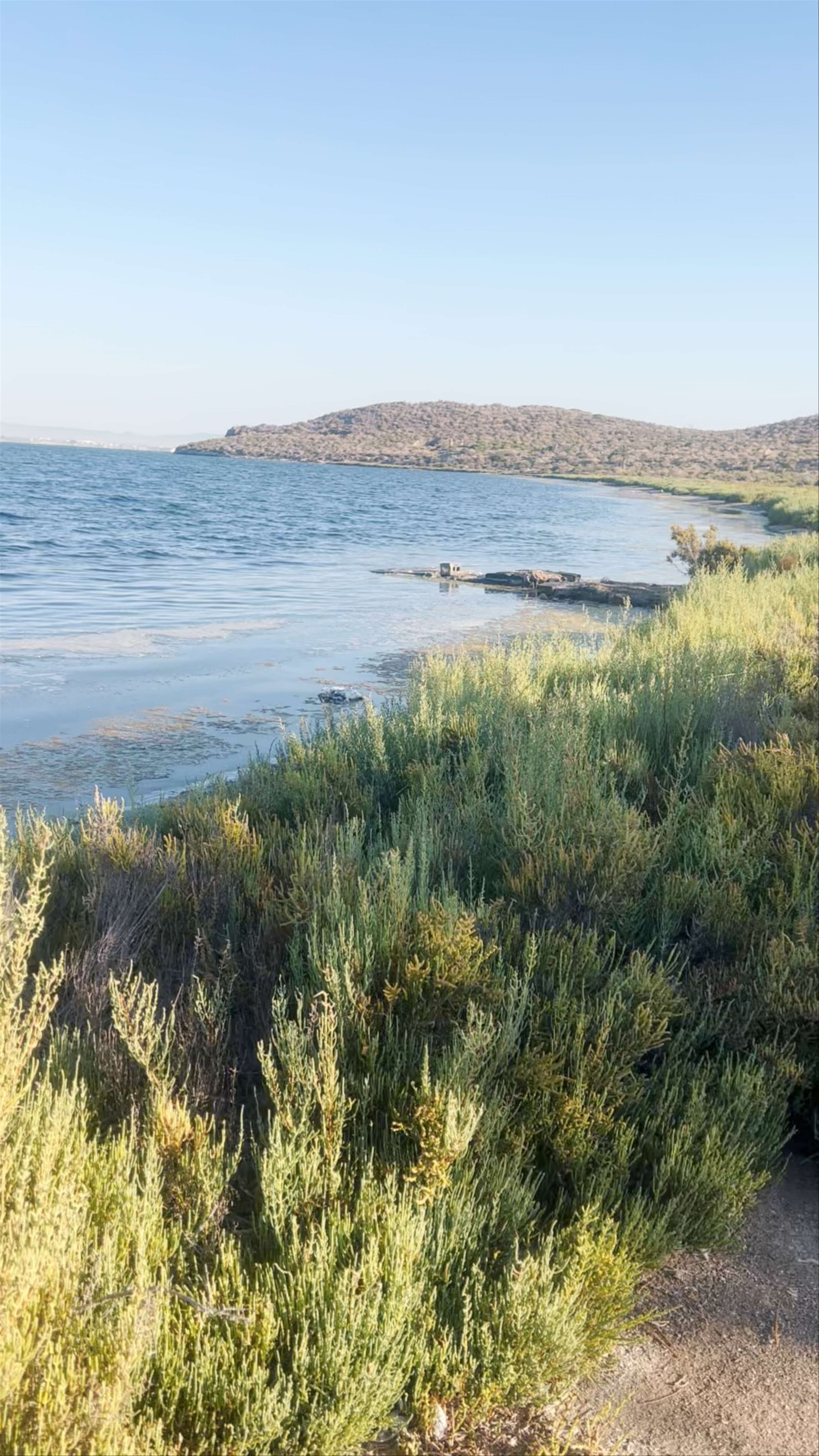 Isla Perdiguera