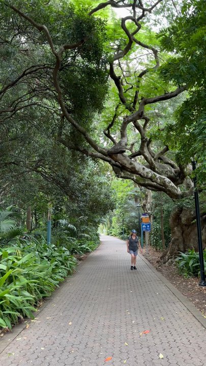 City Botanic Gardens - Botanical Gardens Near Me - Brisbane, QLD